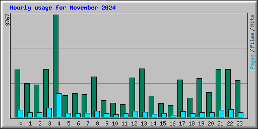 Hourly usage for November 2024