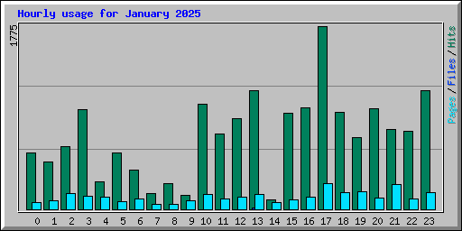 Hourly usage for January 2025