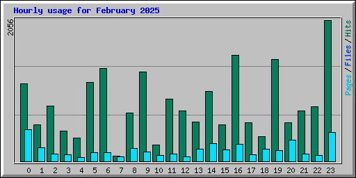 Hourly usage for February 2025
