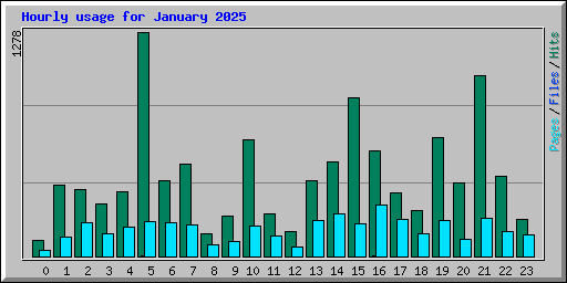 Hourly usage for January 2025