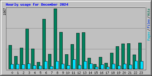 Hourly usage for December 2024